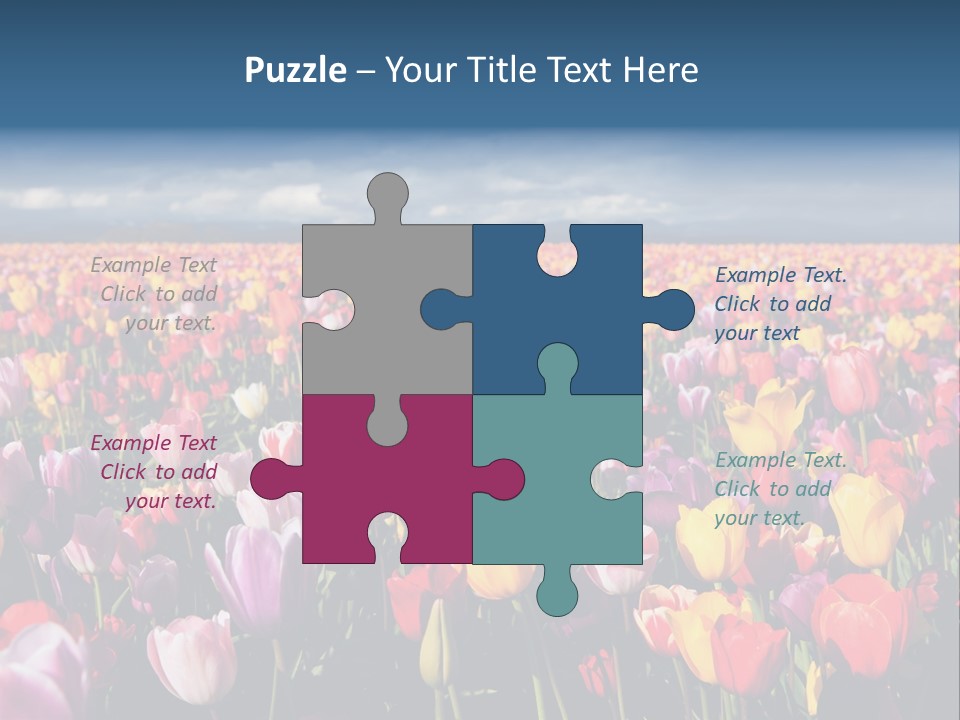 Field Of Tulips PowerPoint Template