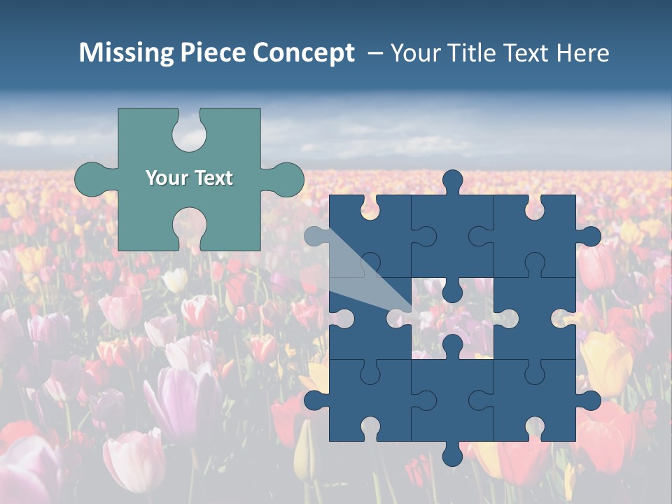 Field Of Tulips PowerPoint Template