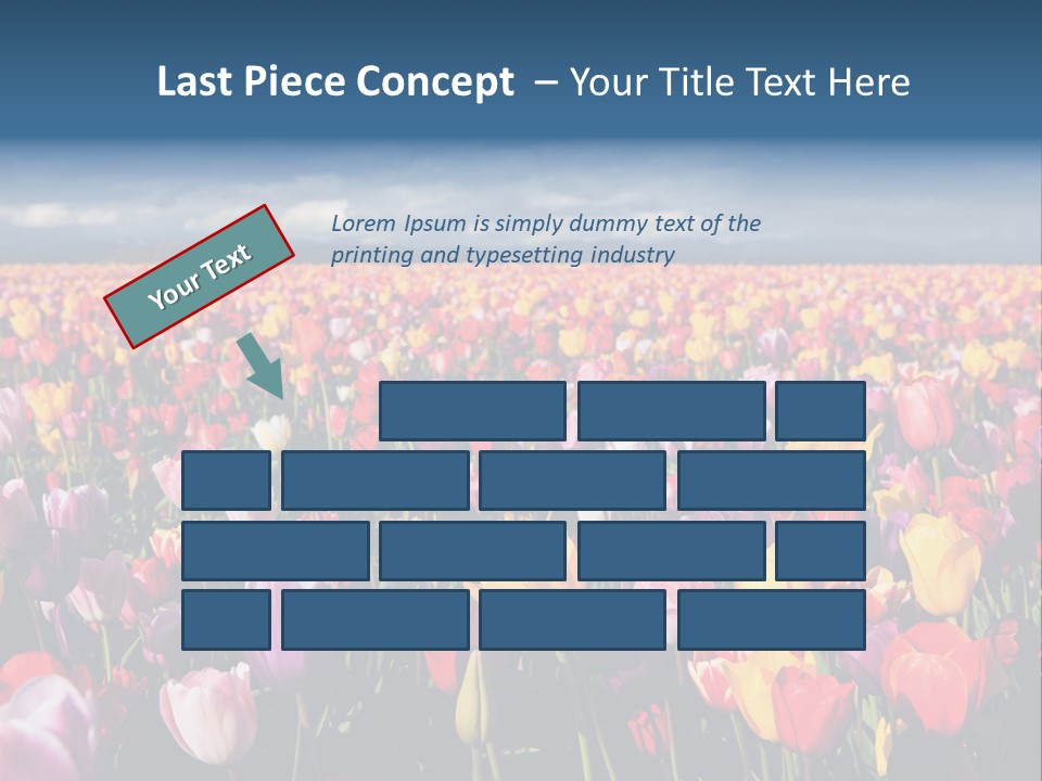 Field Of Tulips PowerPoint Template