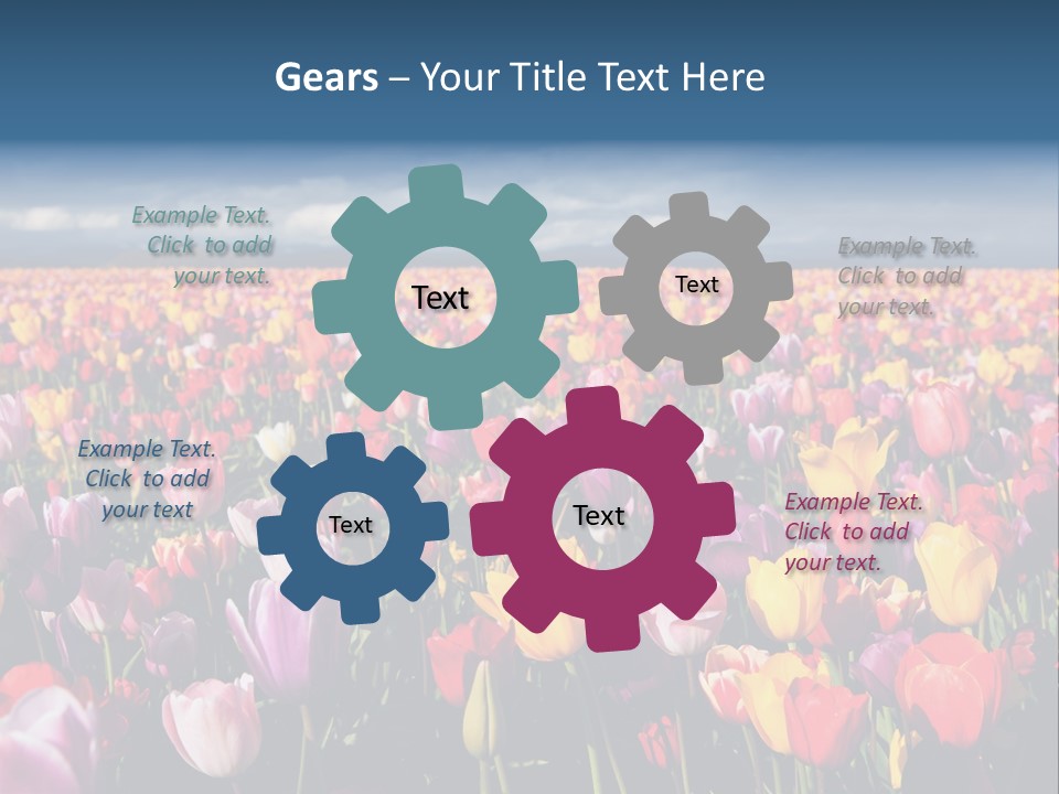 Field Of Tulips PowerPoint Template