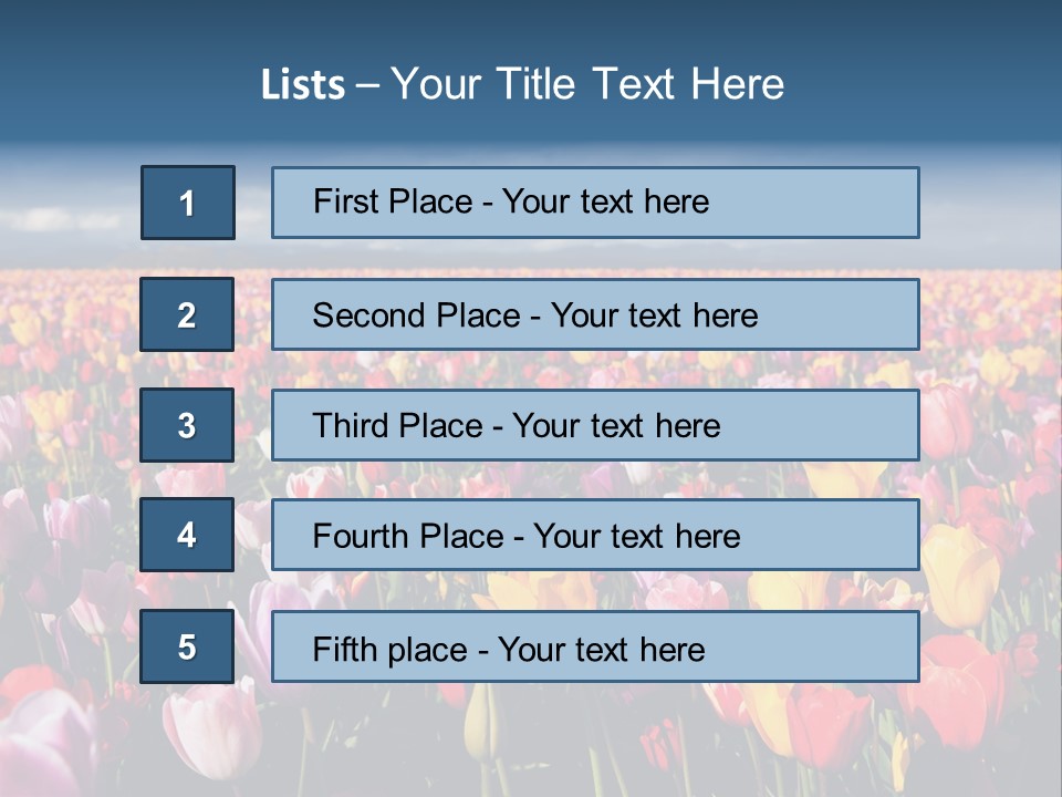 Field Of Tulips PowerPoint Template