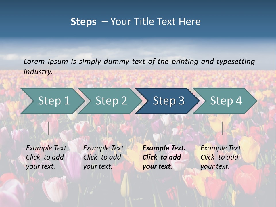 Field Of Tulips PowerPoint Template