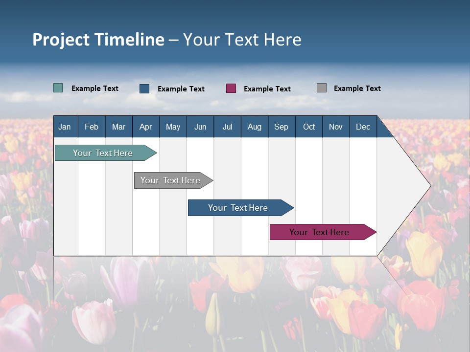 Field Of Tulips PowerPoint Template