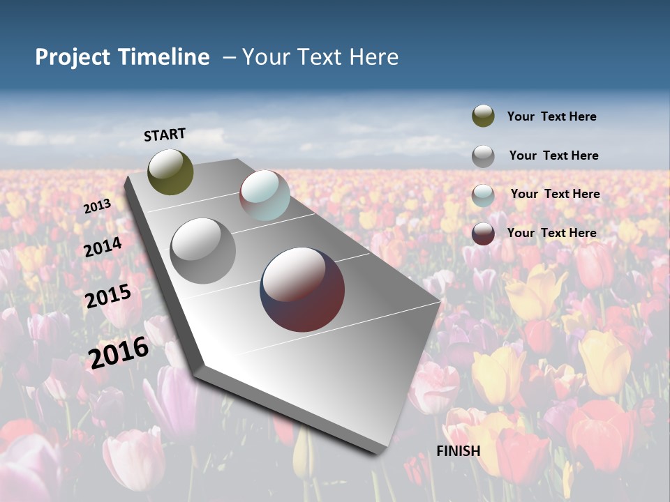 Field Of Tulips PowerPoint Template