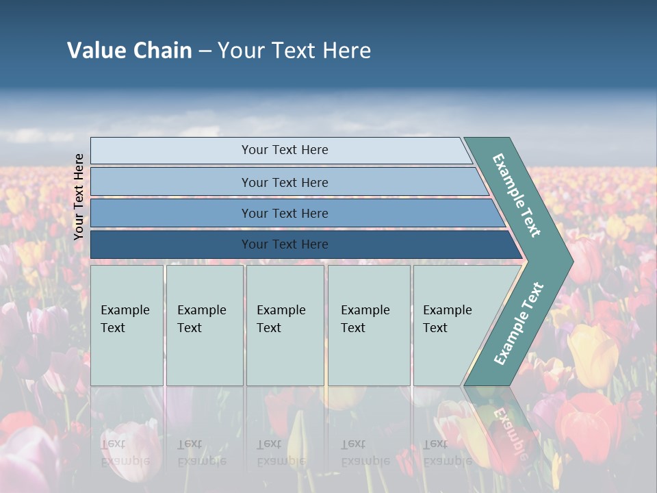 Field Of Tulips PowerPoint Template