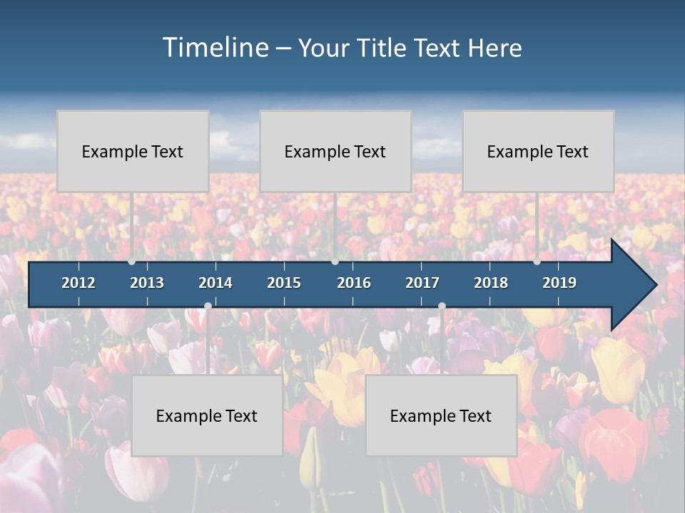 Field Of Tulips PowerPoint Template