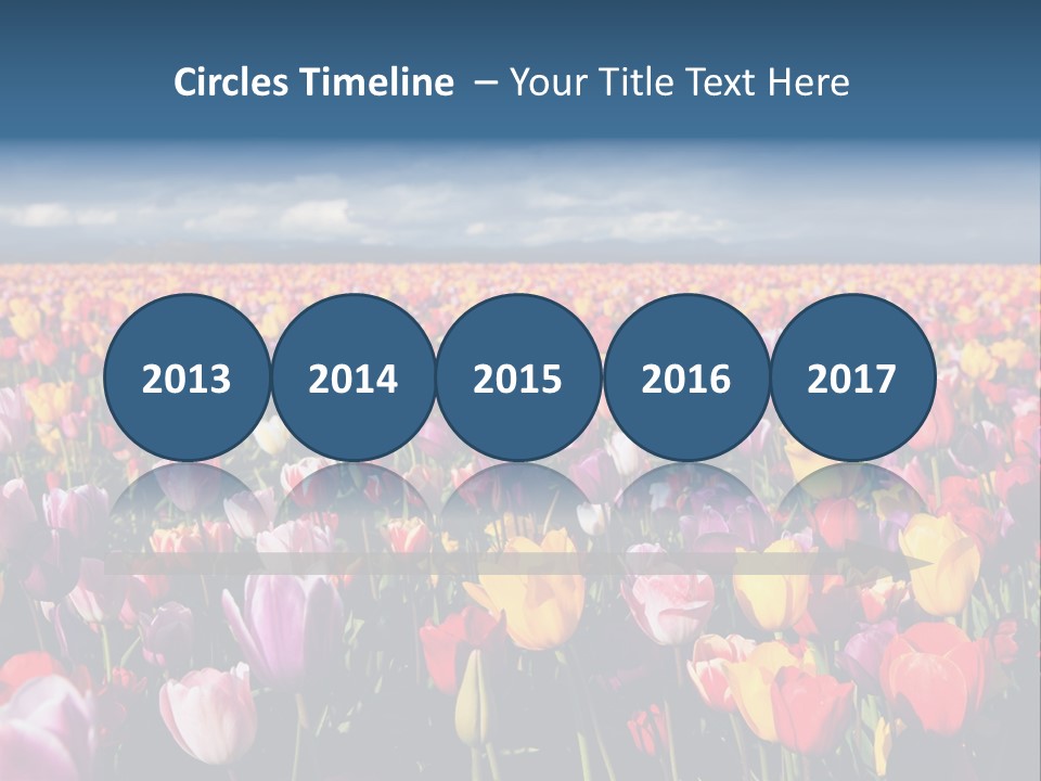 Field Of Tulips PowerPoint Template