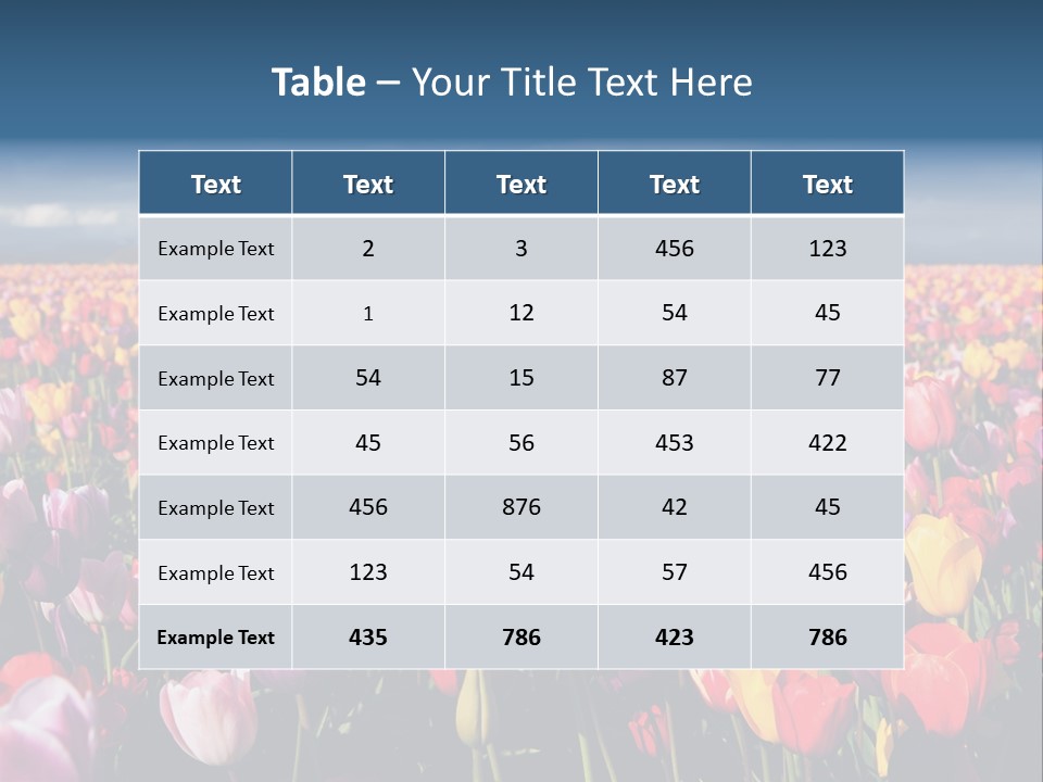 Field Of Tulips PowerPoint Template