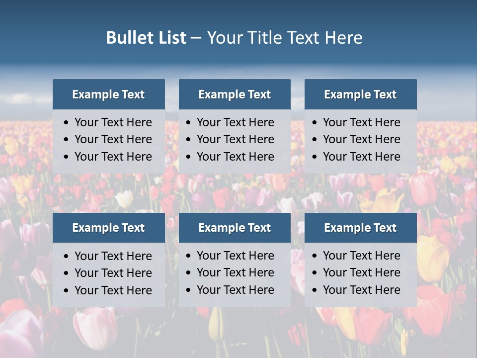 Field Of Tulips PowerPoint Template