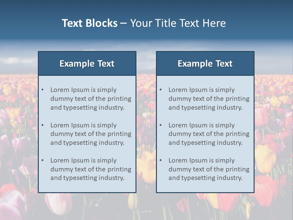 Field Of Tulips PowerPoint Template