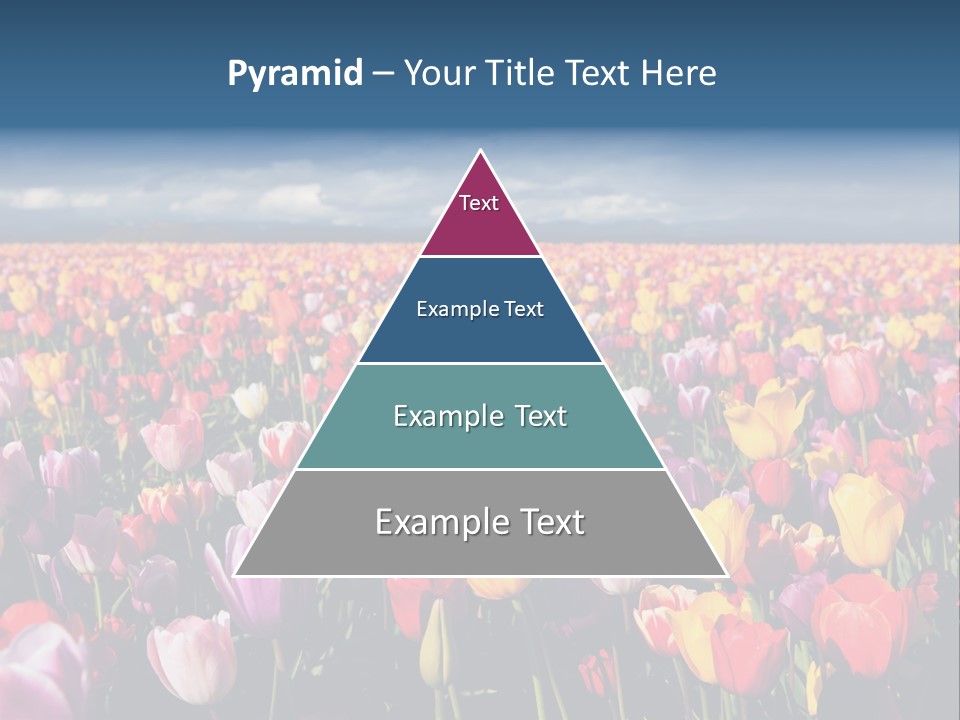 Field Of Tulips PowerPoint Template