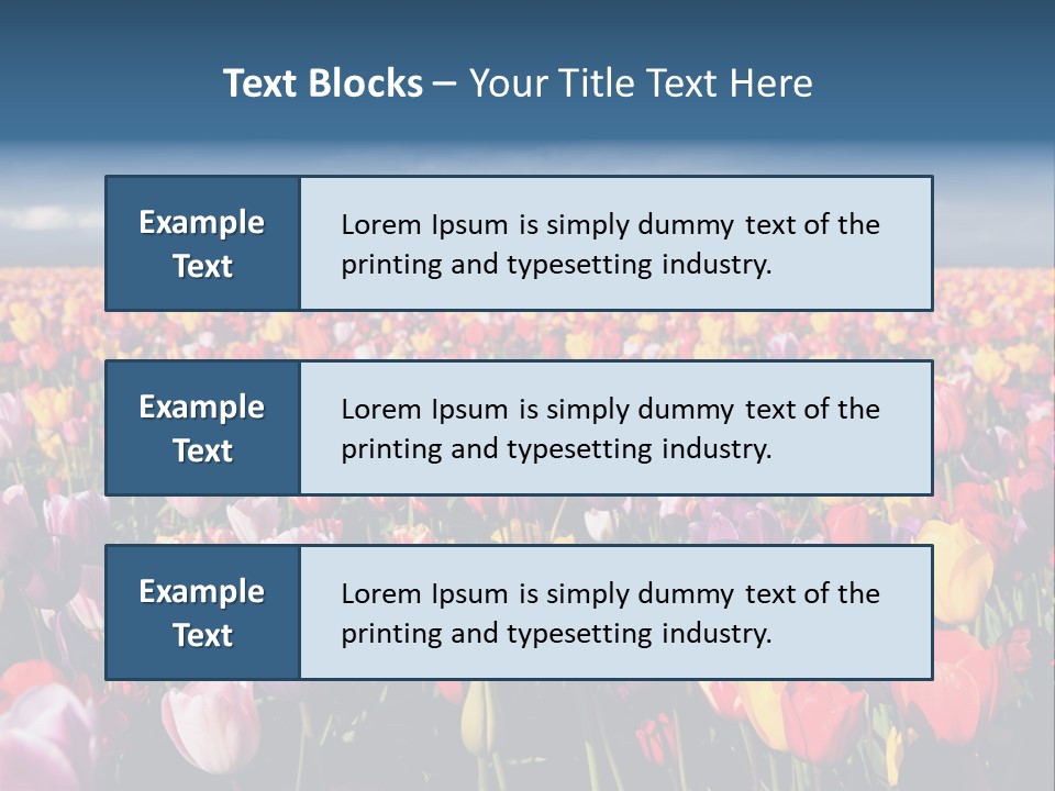 Field Of Tulips PowerPoint Template