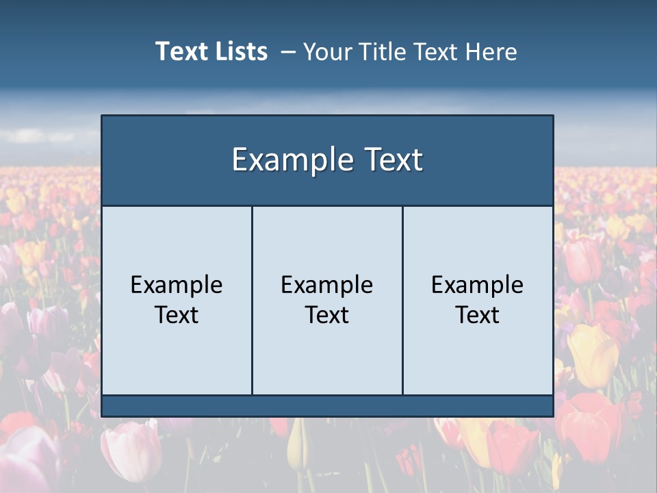 Field Of Tulips PowerPoint Template