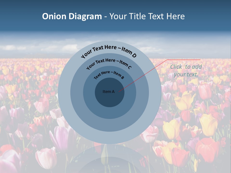 Field Of Tulips PowerPoint Template