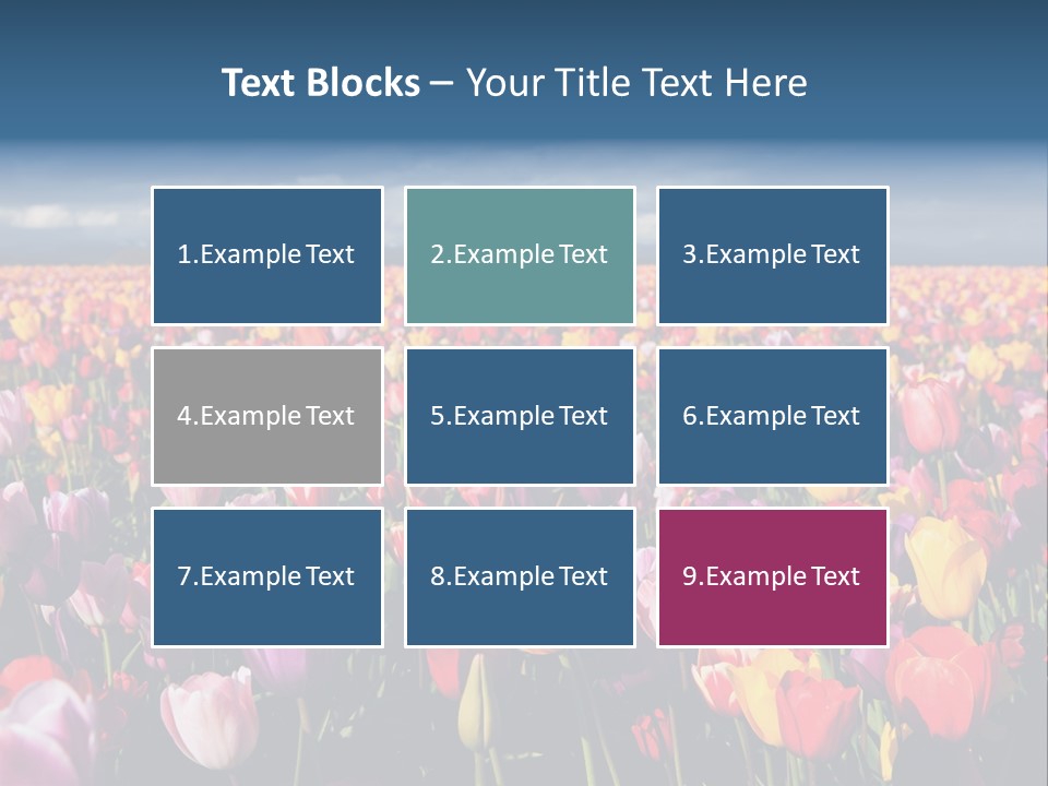 Field Of Tulips PowerPoint Template