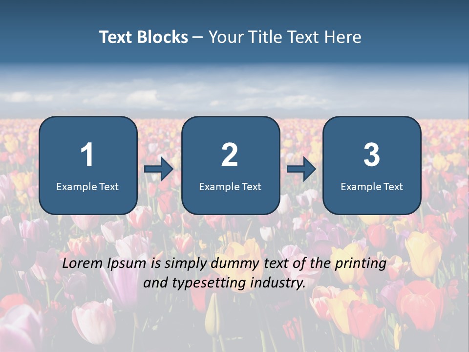Field Of Tulips PowerPoint Template