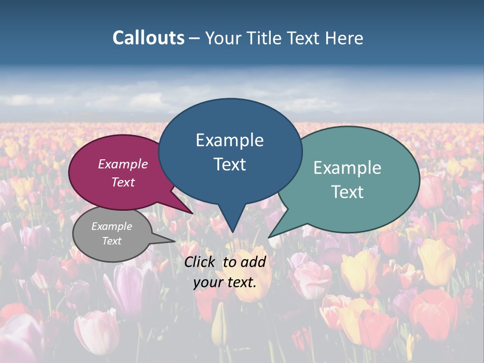 Field Of Tulips PowerPoint Template