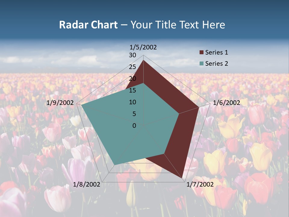Field Of Tulips PowerPoint Template