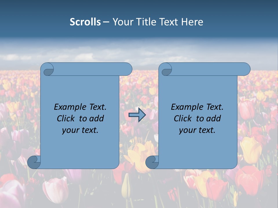 Field Of Tulips PowerPoint Template