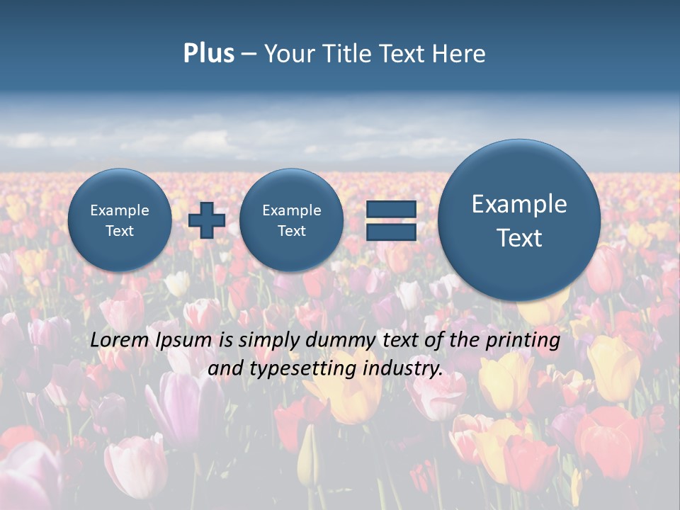 Field Of Tulips PowerPoint Template