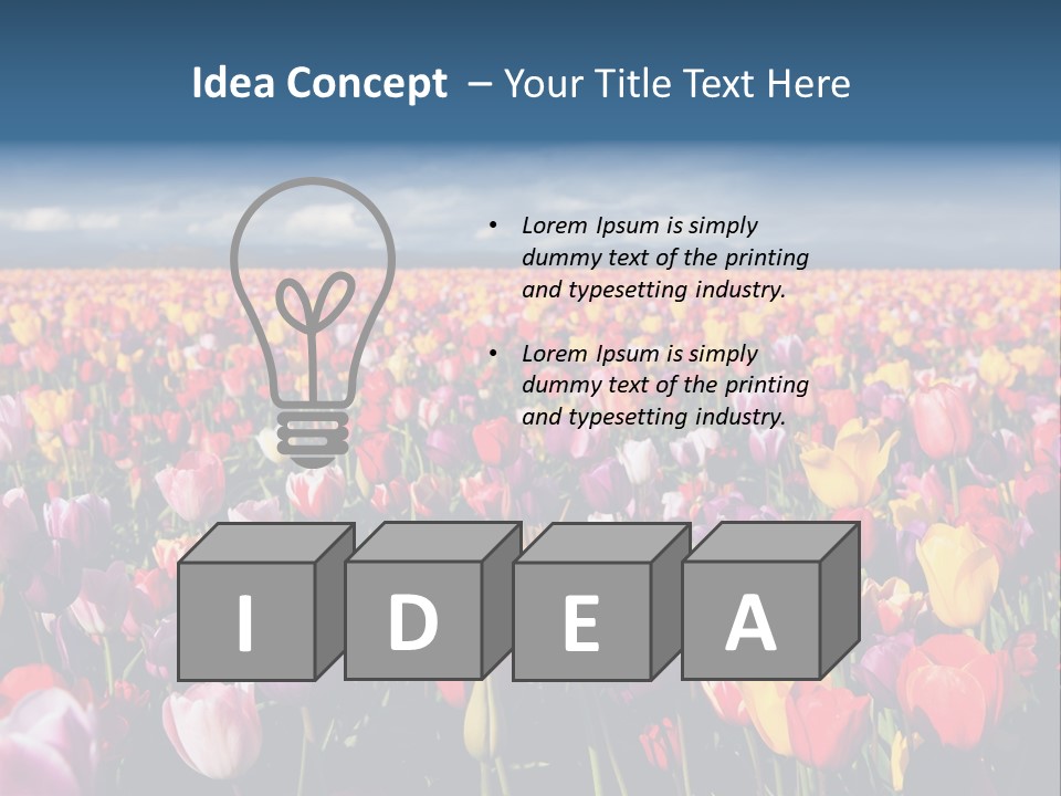 Field Of Tulips PowerPoint Template