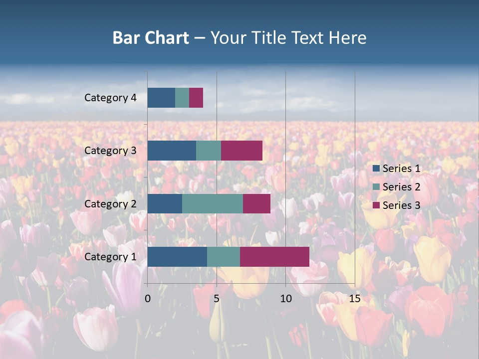 Field Of Tulips PowerPoint Template