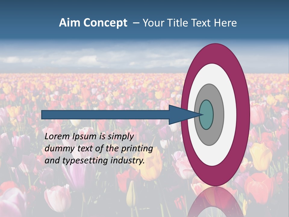 Field Of Tulips PowerPoint Template