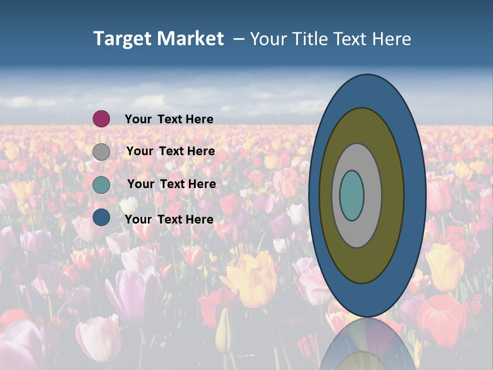 Field Of Tulips PowerPoint Template