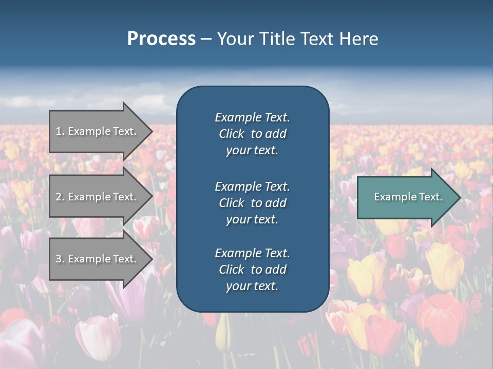 Field Of Tulips PowerPoint Template