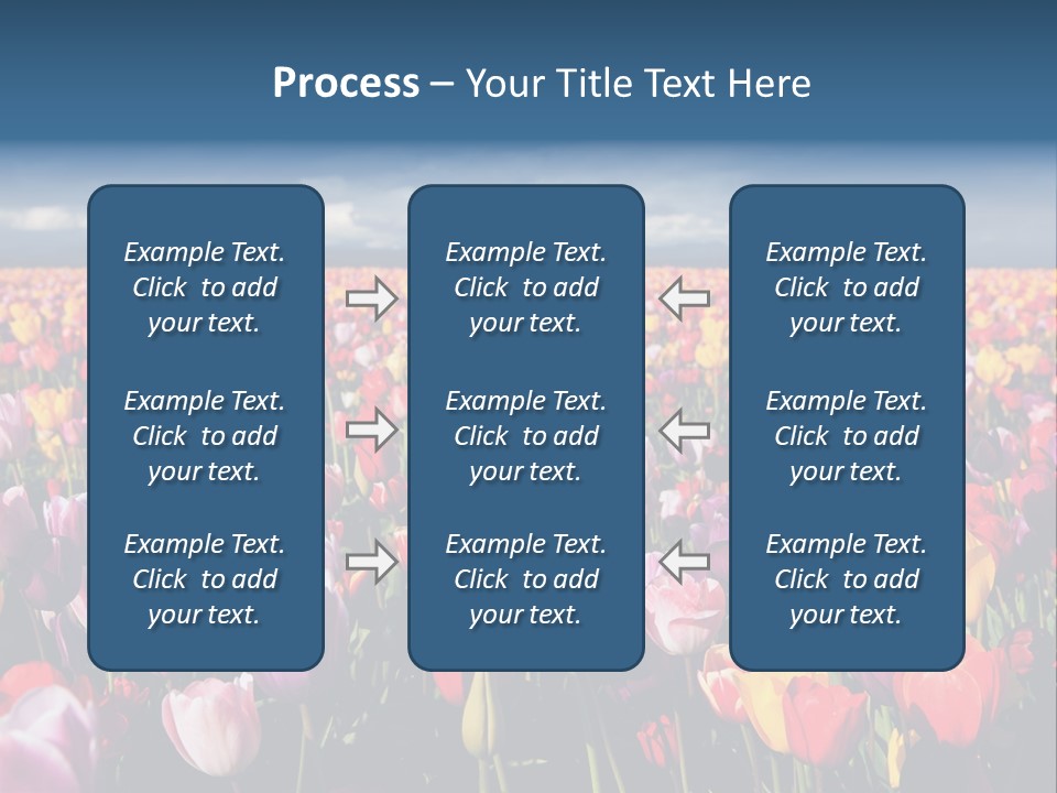 Field Of Tulips PowerPoint Template