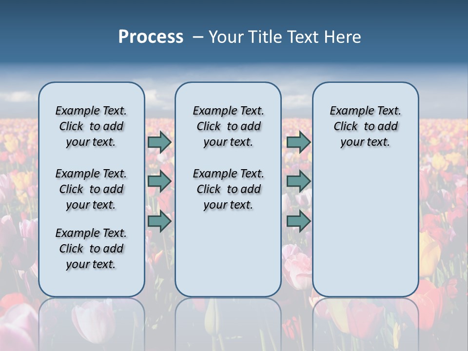 Field Of Tulips PowerPoint Template