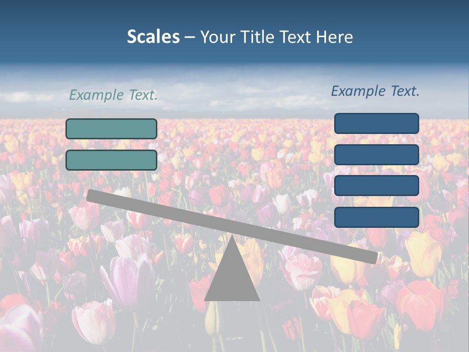 Field Of Tulips PowerPoint Template