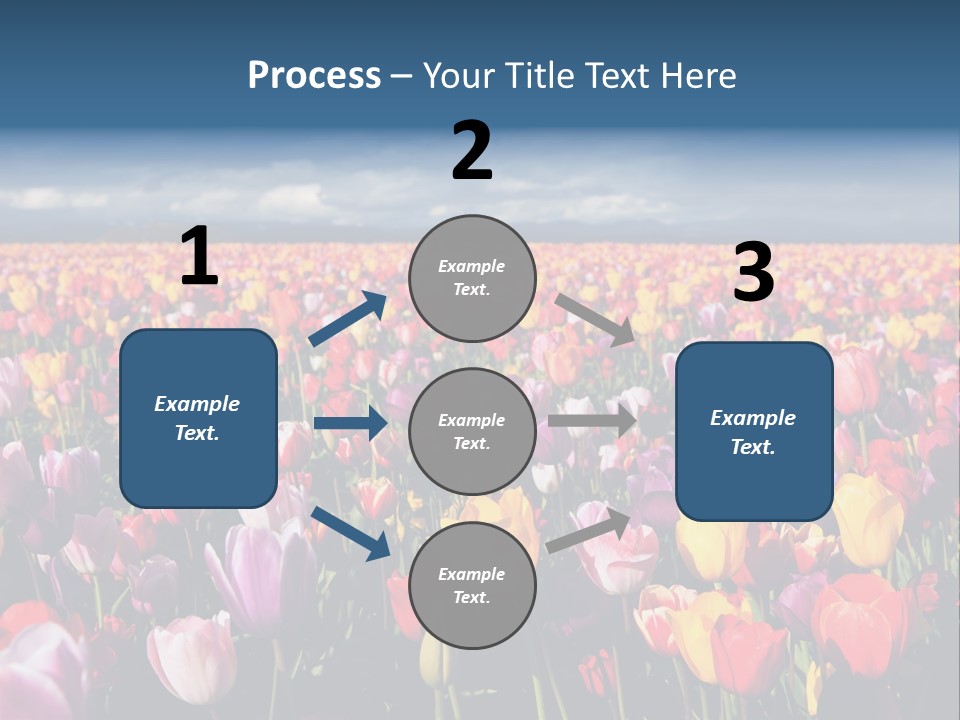 Field Of Tulips PowerPoint Template