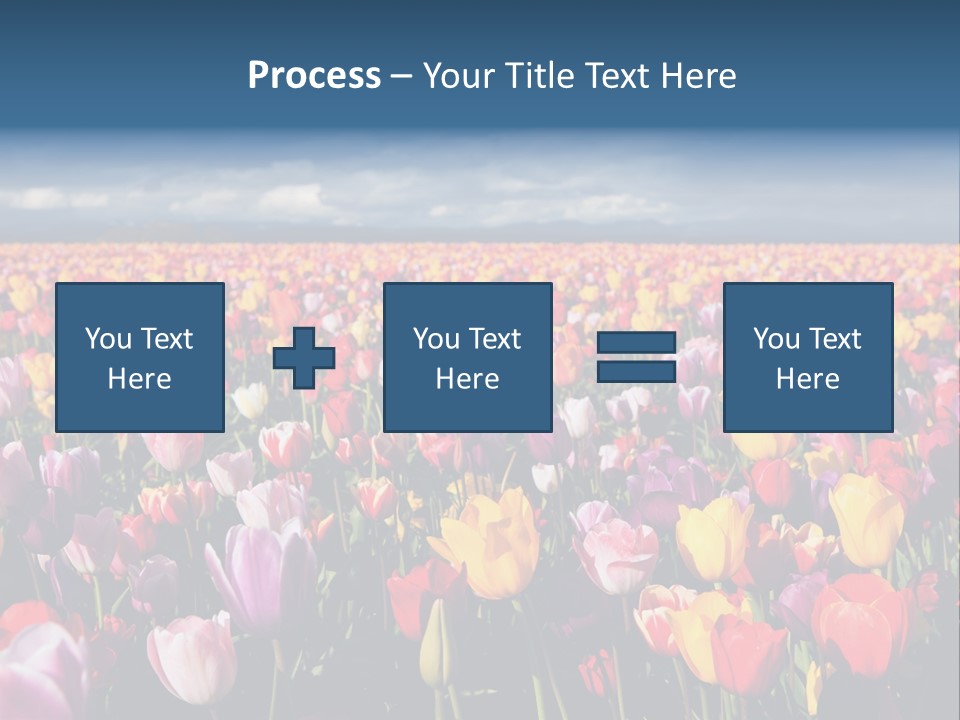 Field Of Tulips PowerPoint Template