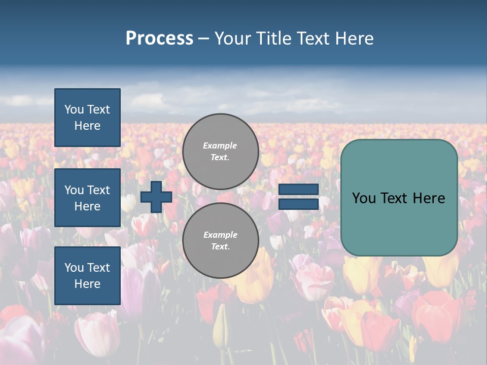 Field Of Tulips PowerPoint Template