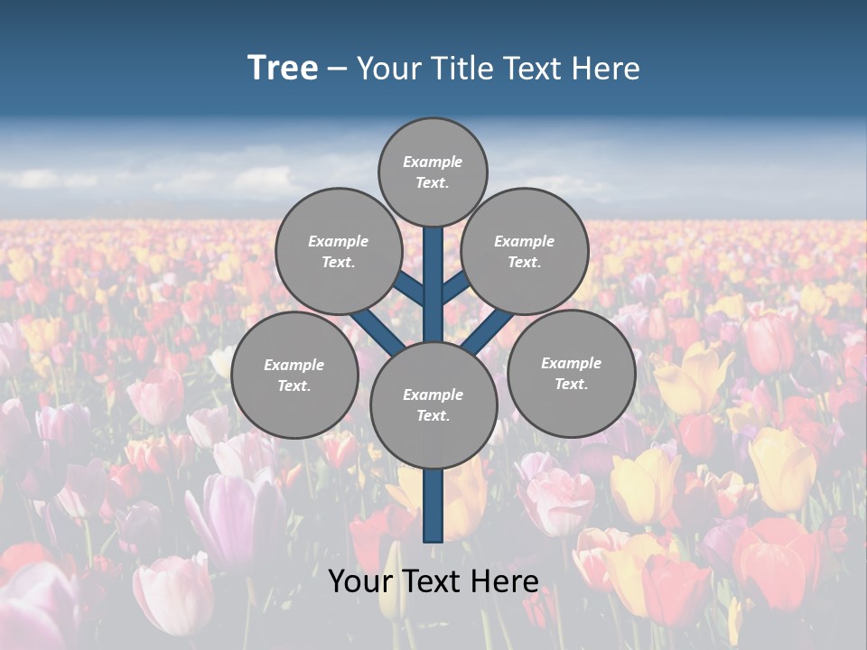 Field Of Tulips PowerPoint Template