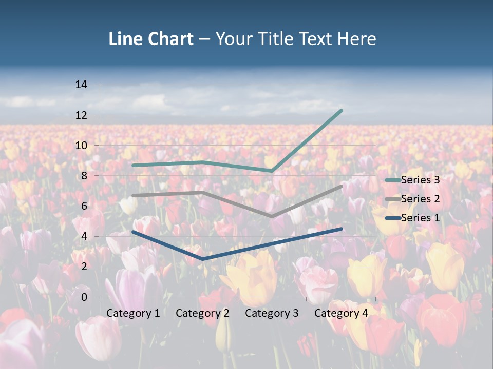 Field Of Tulips PowerPoint Template
