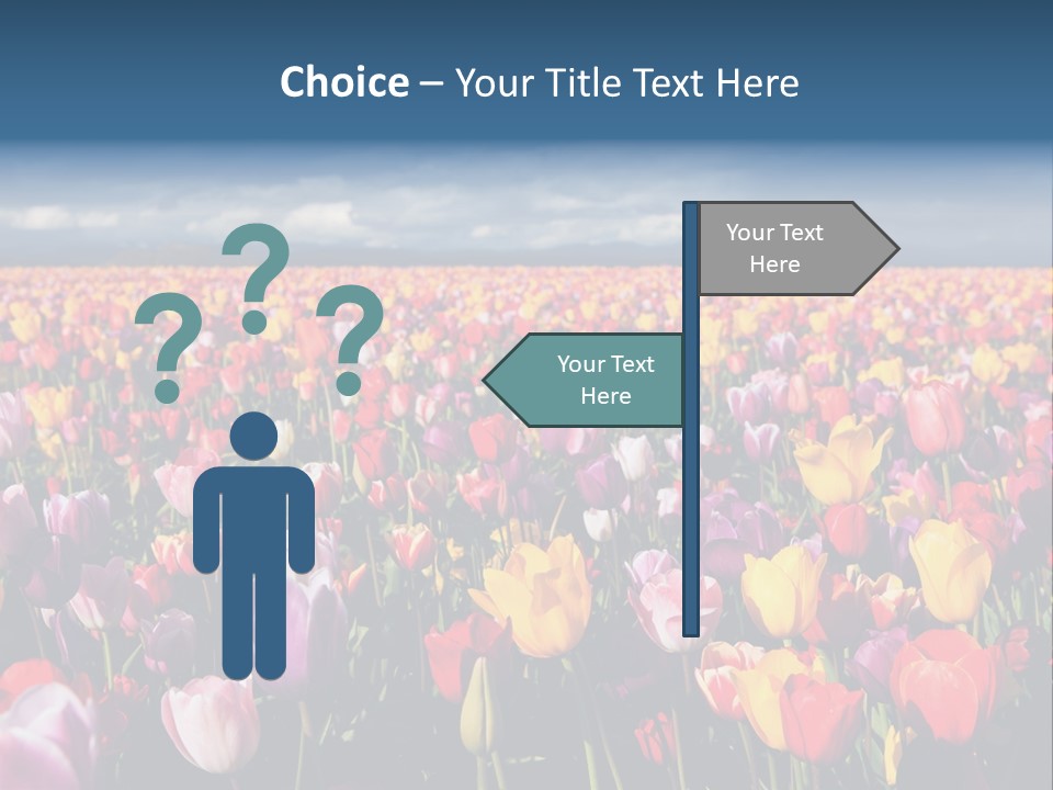 Field Of Tulips PowerPoint Template