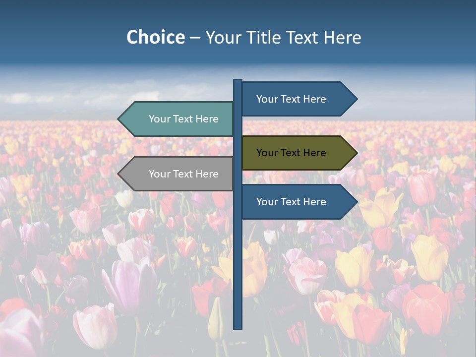 Field Of Tulips PowerPoint Template