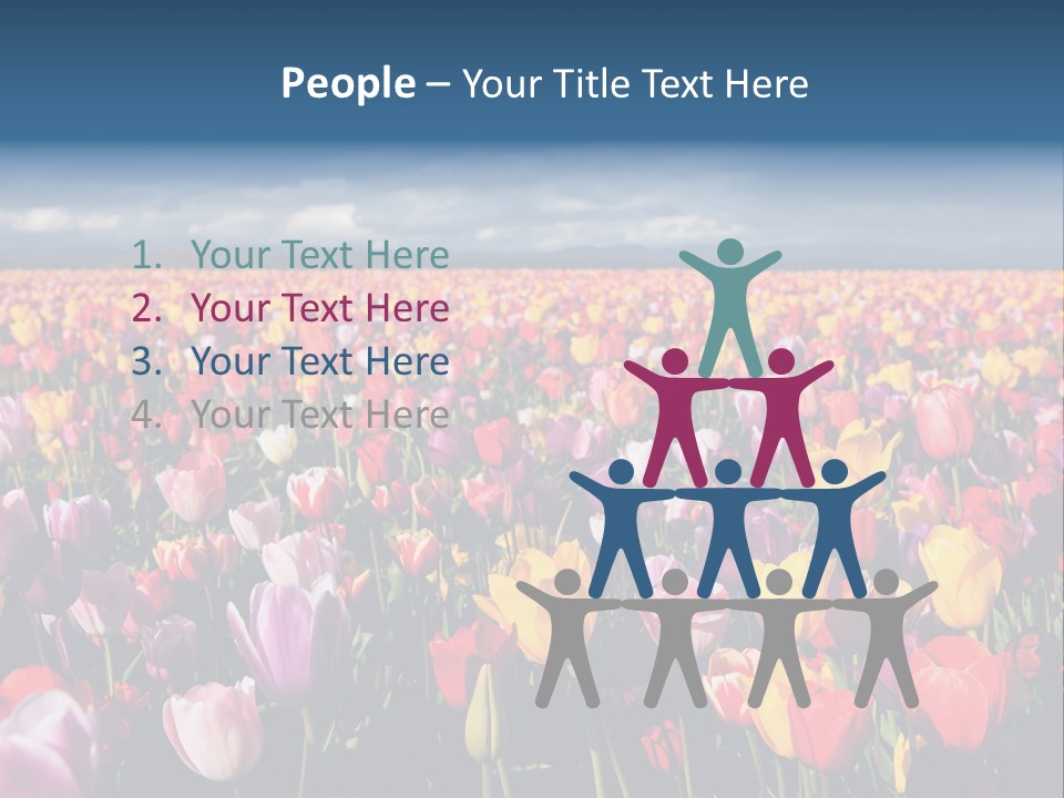 Field Of Tulips PowerPoint Template