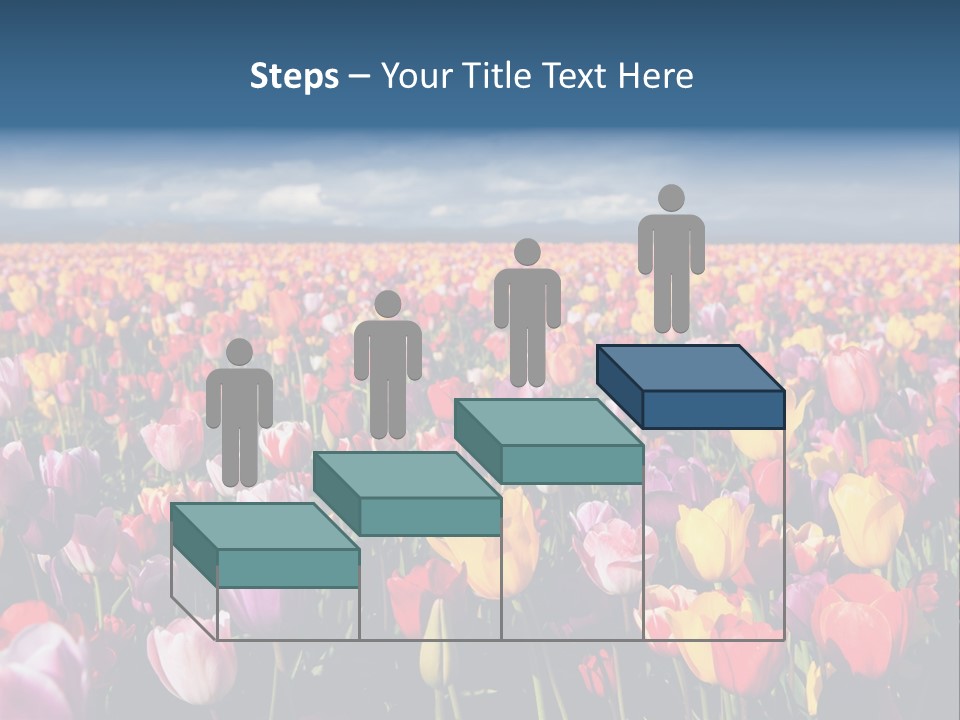 Field Of Tulips PowerPoint Template