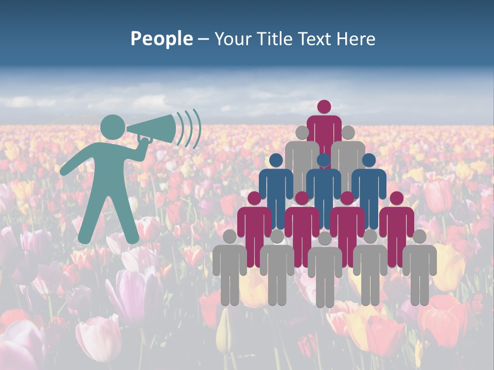 Field Of Tulips PowerPoint Template