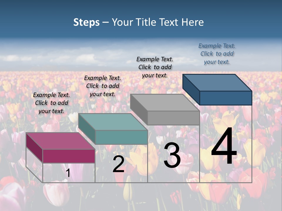 Field Of Tulips PowerPoint Template