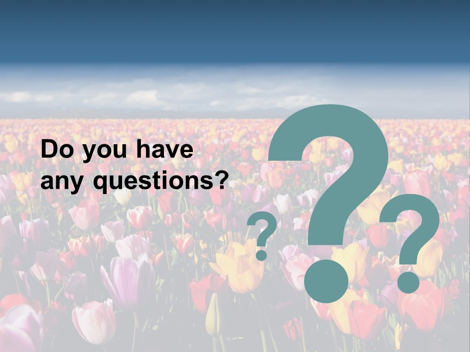 Field Of Tulips PowerPoint Template