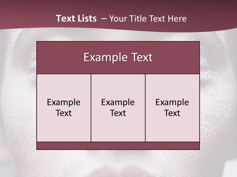 Winter Skin PowerPoint Template