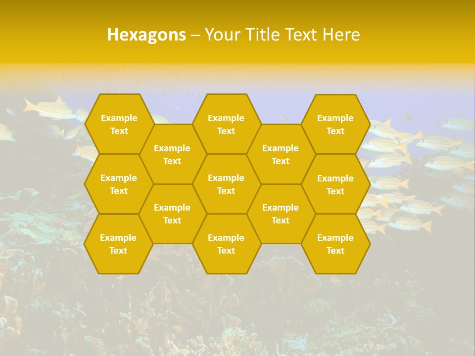 Coral Diver Under PowerPoint Template