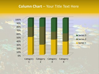 Coral Diver Under PowerPoint Template