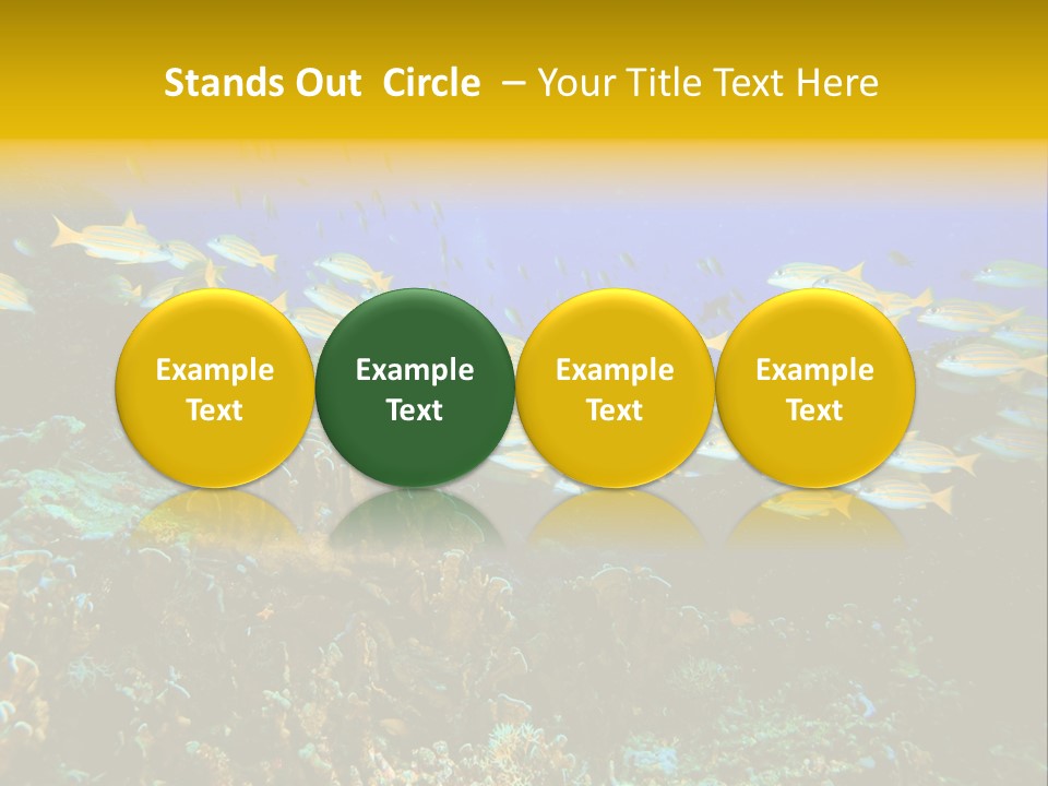 Coral Diver Under PowerPoint Template