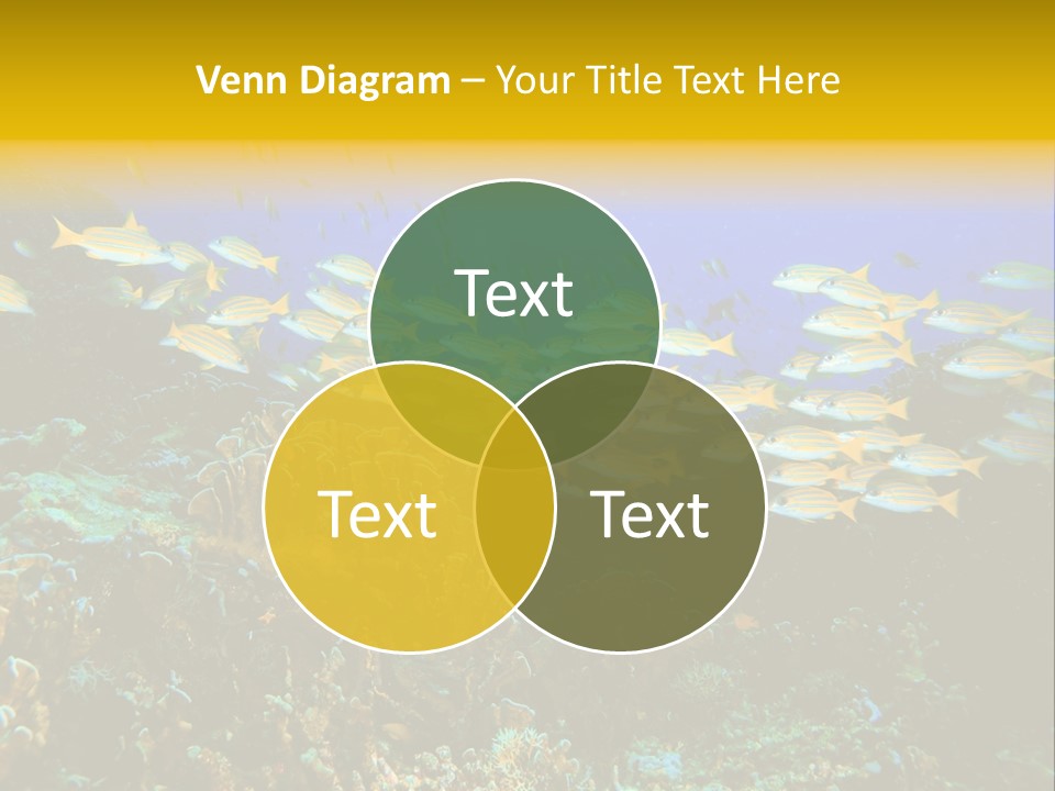 Coral Diver Under PowerPoint Template