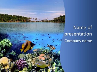 Coral Reef Eilat PowerPoint Template